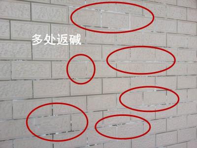 什么是返堿？
